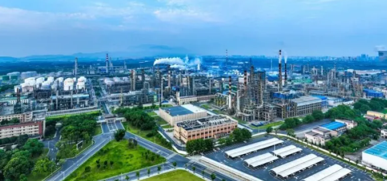 2025年广西服装加工行业趋势及择遭溪服饰供货方案